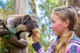 Get Close To Wildlife